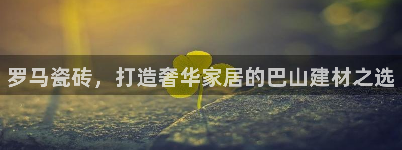 杏鑫官网注册账号是什么样的