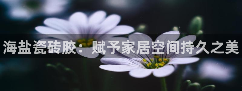 杏鑫娱乐平台登录