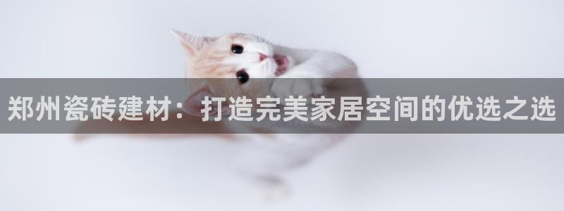 杏鑫平台注册网址查询