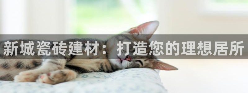 杏鑫平台注册网址是什么