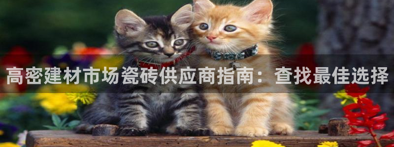 杏鑫平台登录注册