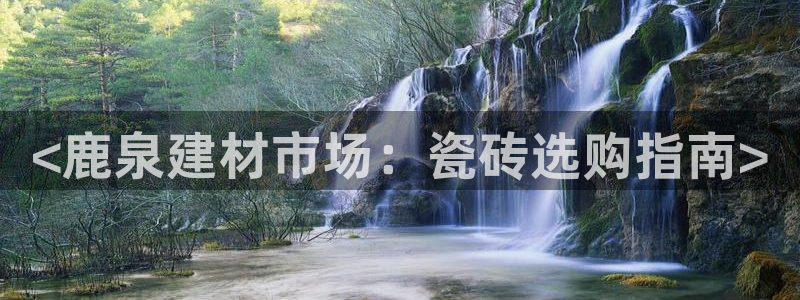 杏鑫平台正规吗