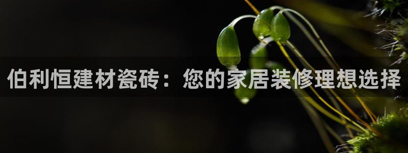 杏鑫招商总代