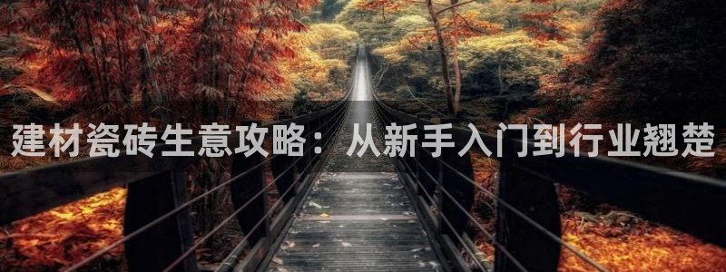 杏鑫官网注册账号