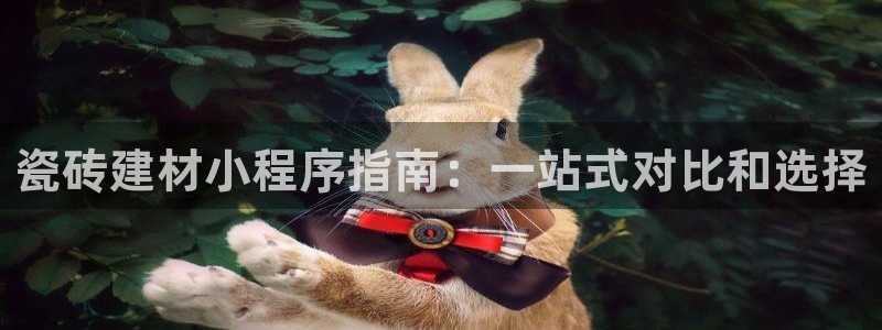 杏鑫平台注册网址