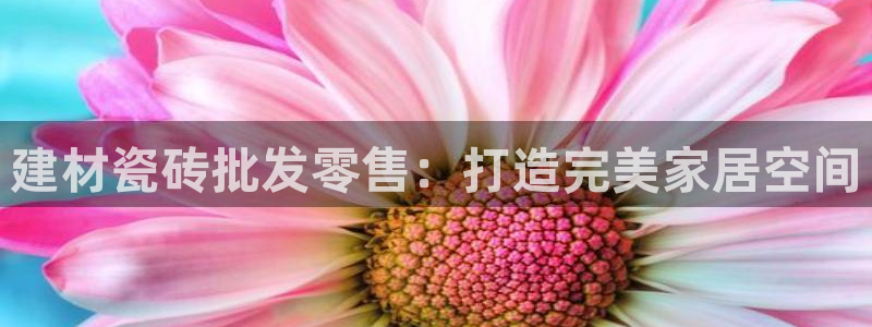 杏鑫娱乐平台登录