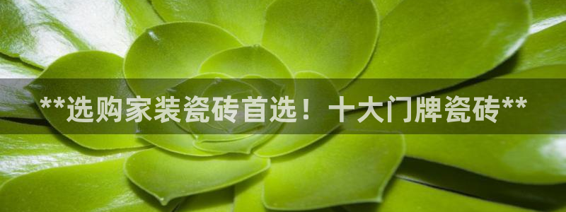 杏鑫平台代理怎么样