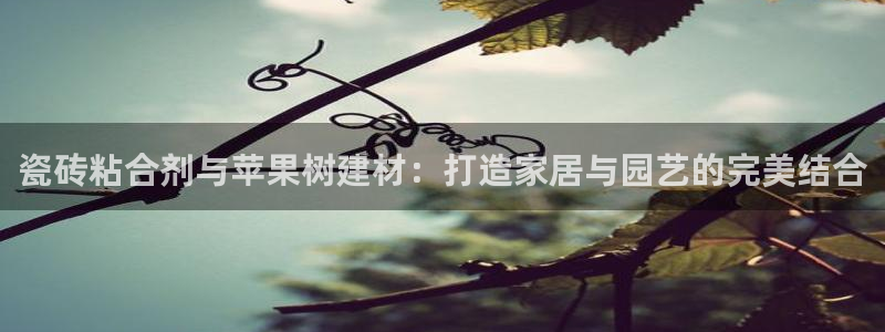 杏鑫平台野马联盟怎么样