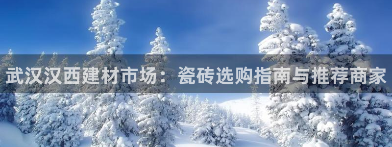 杏鑫平台代理怎么做