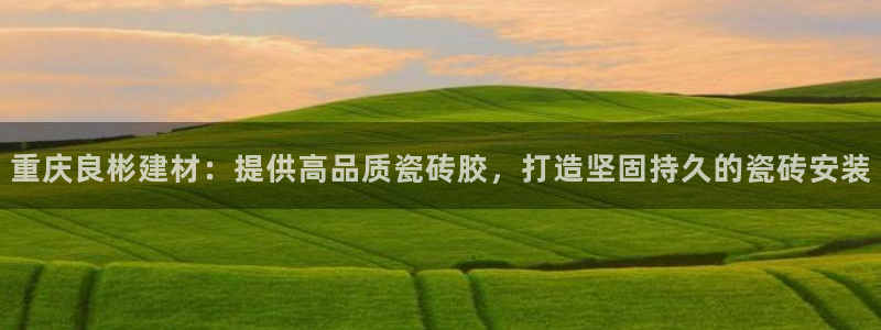 杏鑫平台代理怎么样啊