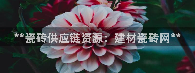 杏鑫娱乐是合法的吗是真的吗
