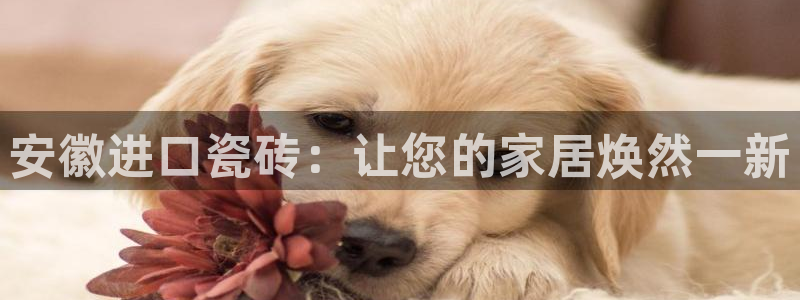 杏鑫娱乐官网登录不了