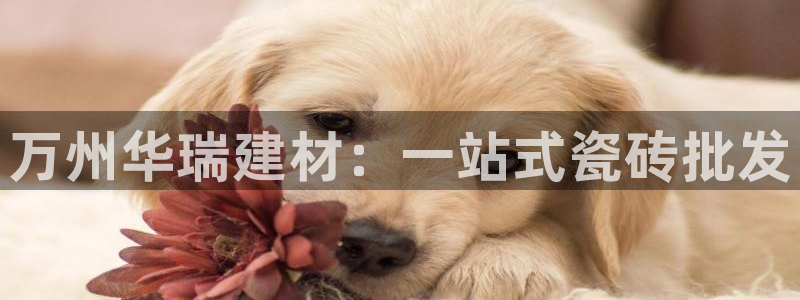 杏鑫平台登陆