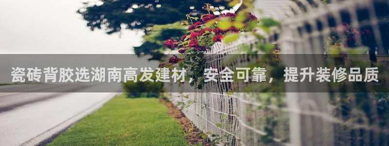 杏鑫平台登录地址