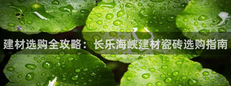 杏鑫平台代理怎么样