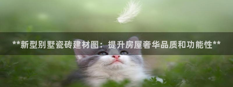 杏鑫官网最新信息新闻