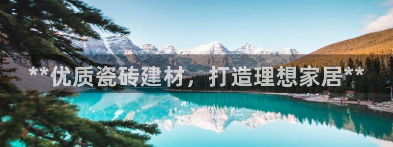 杏鑫娱乐开发团队