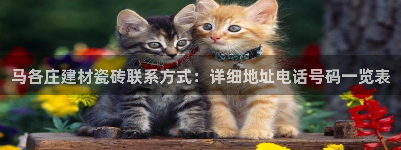 杏鑫注册平台官方网站入口