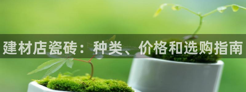 杏鑫平台代理怎么做赚钱