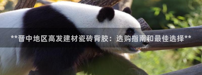 杏鑫代理注册登录