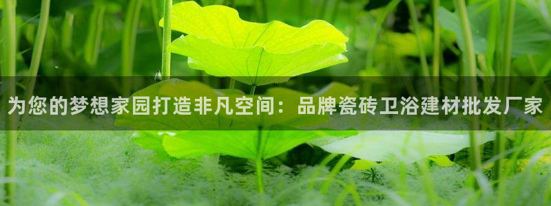 杏鑫平台注册地址