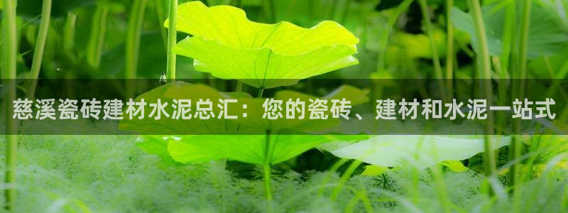 杏鑫平台正规吗