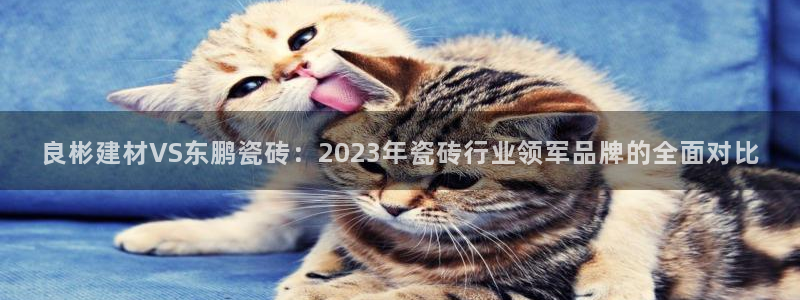 杏鑫娱乐平台测速怎么样