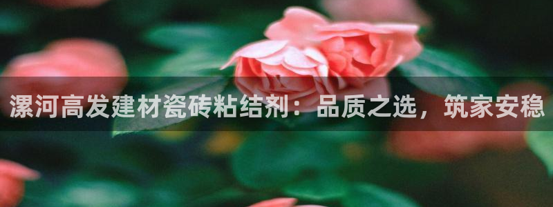 杏鑫平台直属哪个公司