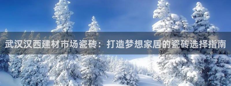 杏鑫代理注册