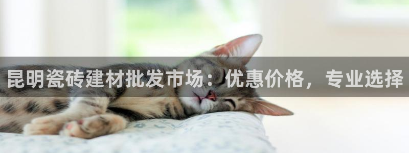 杏鑫平台平台娱乐