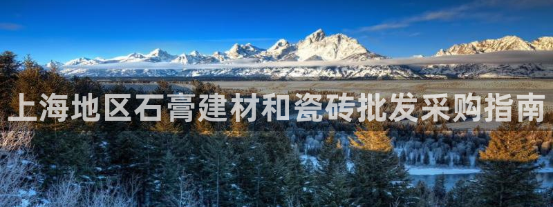 杏鑫平台怎么样