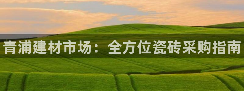 杏鑫平台代理注册多少钱啊