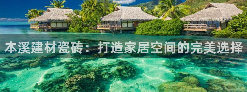 杏鑫平台注册网址是多少