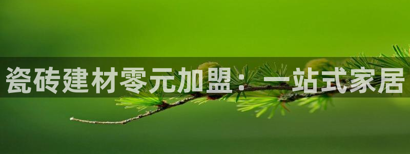 杏鑫官网注册账号是什么