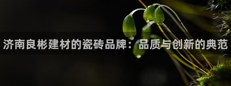 杏鑫注册登录网址是什么