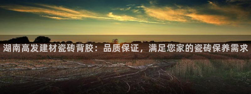 杏鑫官网注册账号怎么注册