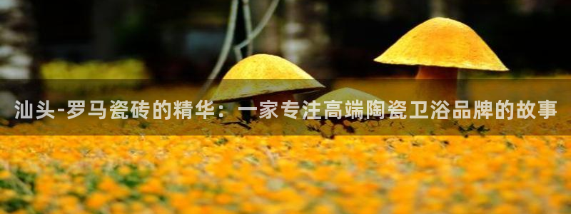 杏鑫平台注册登录