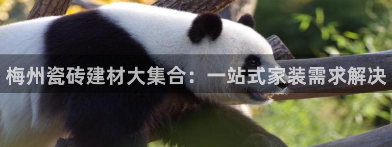 杏鑫平台注册地址