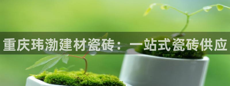 杏鑫平台注册网址是多少