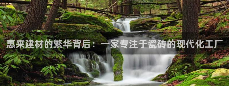 杏鑫注册平台官方网站是什么