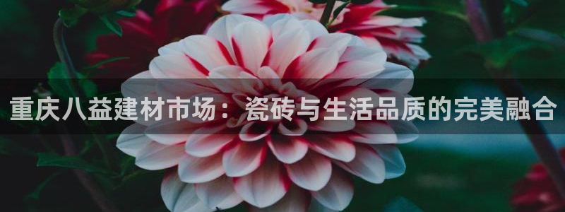 杏鑫平台代理怎么样赚钱