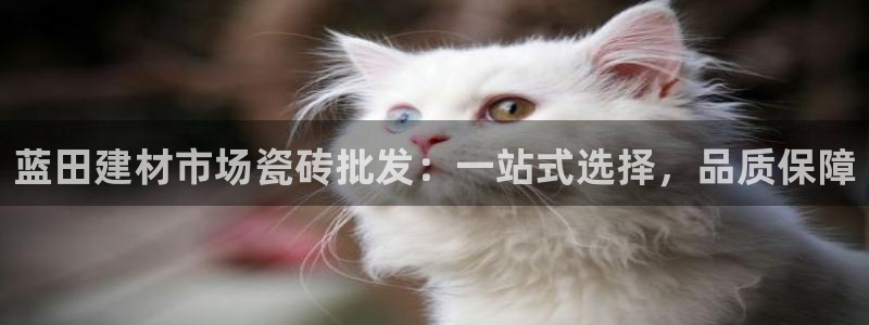 杏鑫平台怎么样黑钱吗安全吗是真的吗