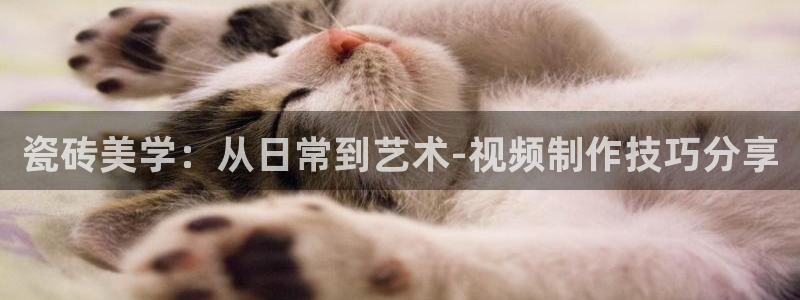 杏鑫平台是黑平台吗是真的吗