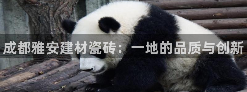 杏鑫平台注册地址