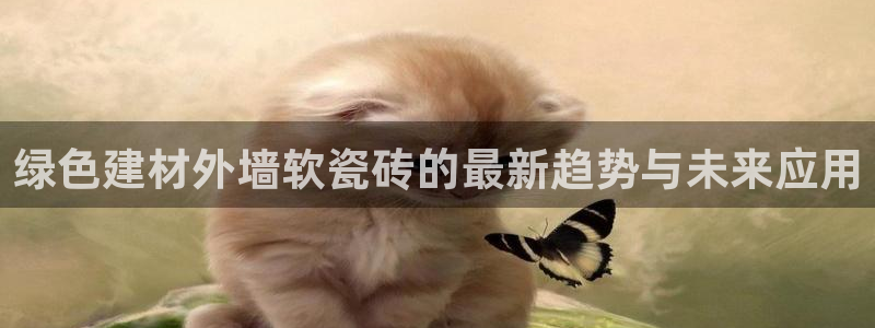 杏鑫平台正规吗是真的吗
