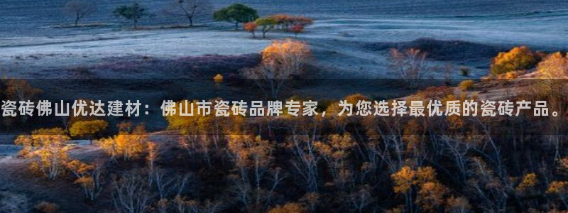 杏鑫平台代理注册流程及费用