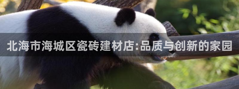 杏鑫平台代理怎么样可靠吗