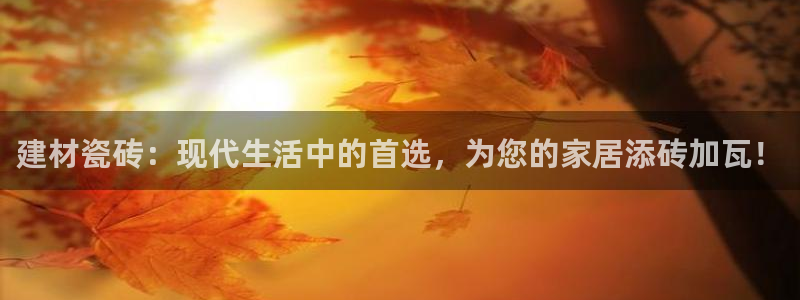 杏鑫平台代理