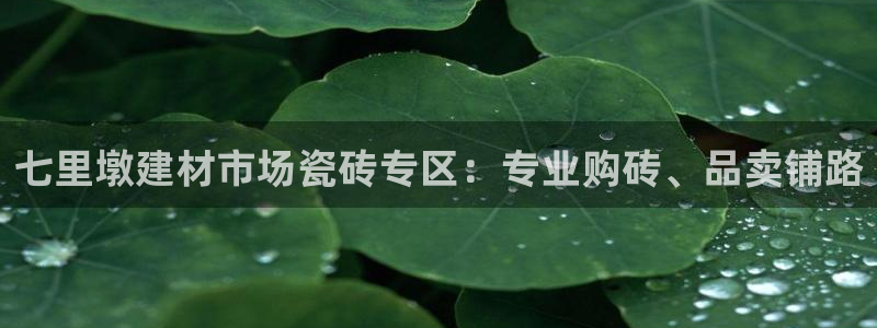 杏鑫娱乐官方网站客户端下载安装