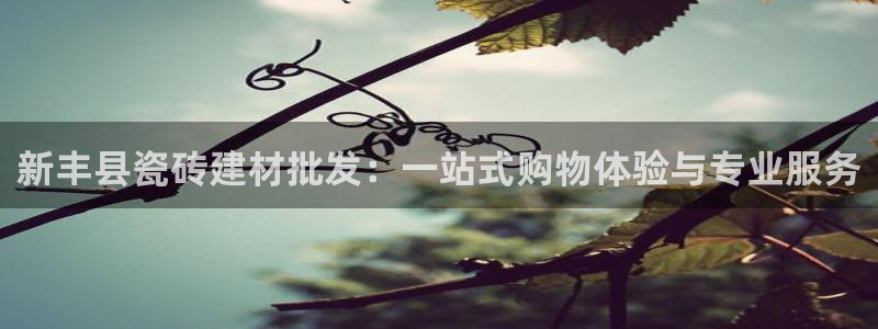 杏鑫娱乐开发团队